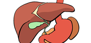 Sobre a Vesícula Biliar